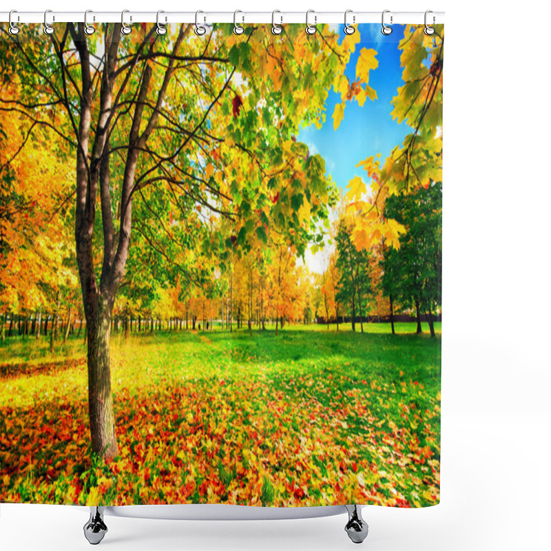 Personality  Autumn Landscape With Maple Trees Shower Curtains