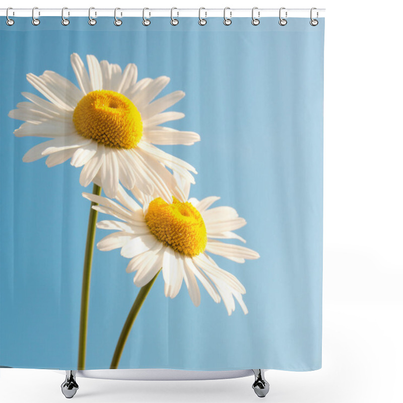 Personality  Daisies Over Blue Sky Shower Curtains