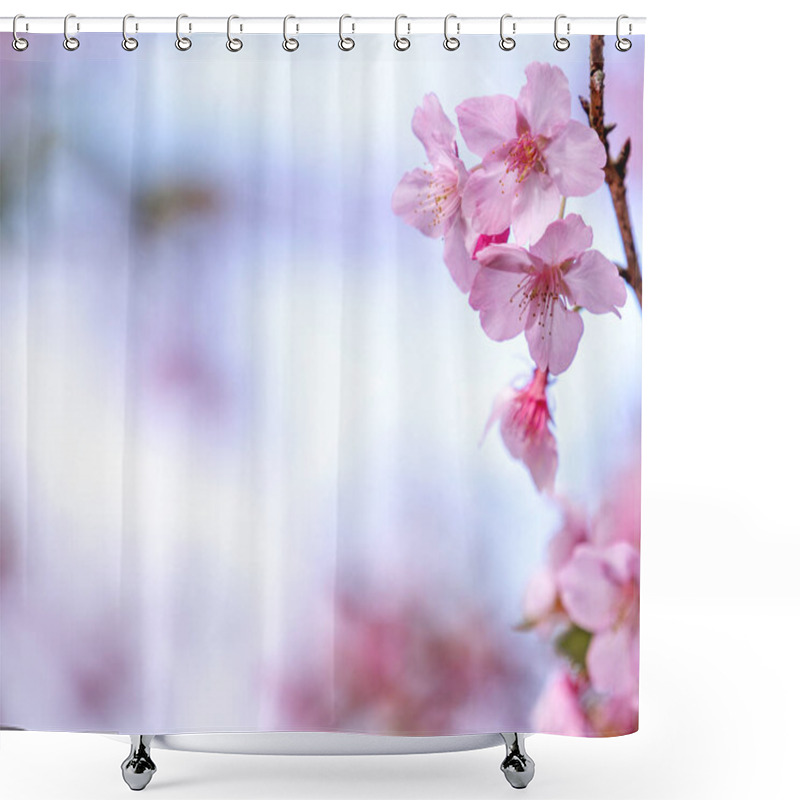 Personality  Beautiful Cherry Blossoms Sakura Tree Bloom In Spring Over The Blue Sky, Copy Space, Close Up. Shower Curtains