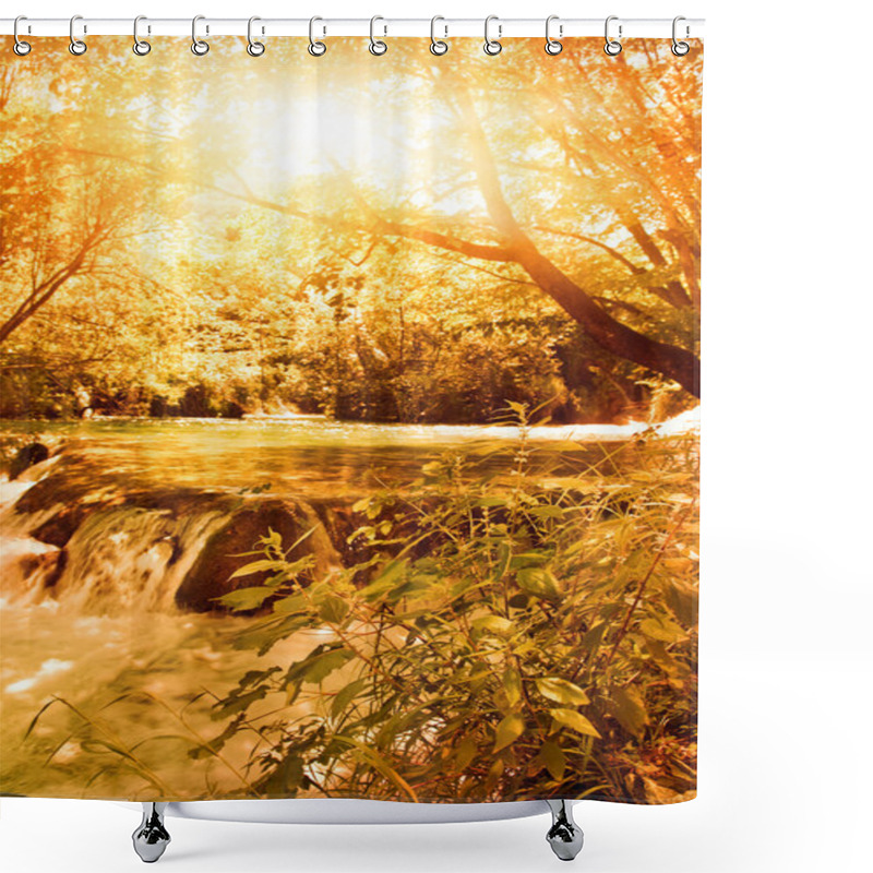 Personality  Sunshine In An Autumn Forest Shower Curtains