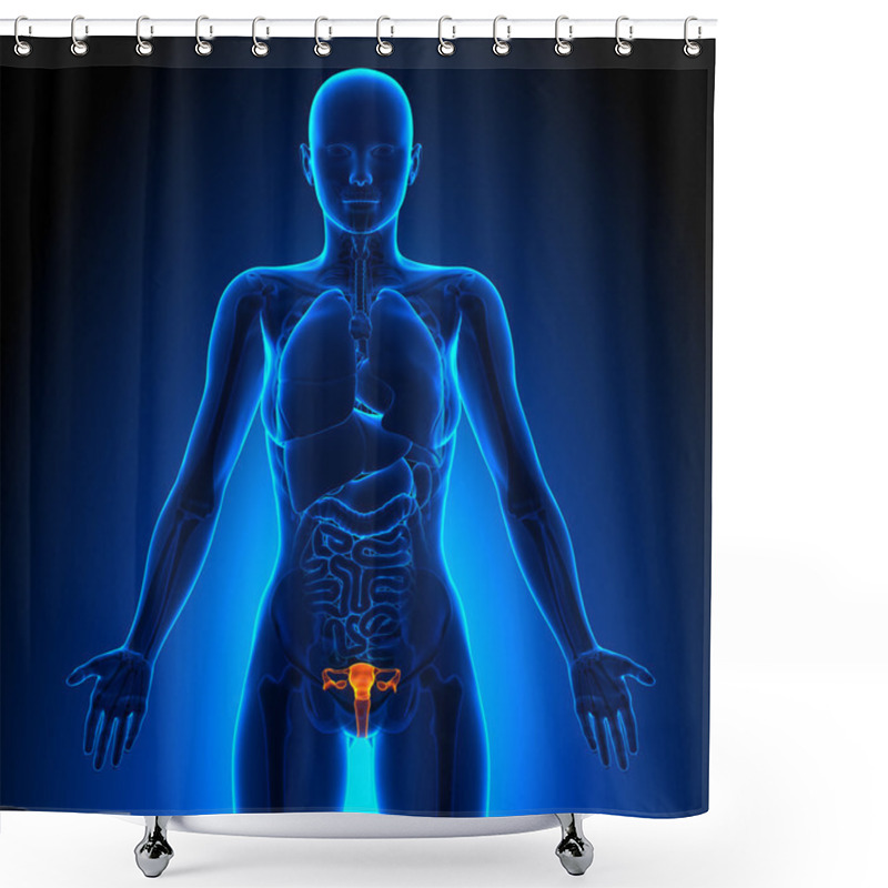 Personality  Reproductive System - Female Organs - Human Anatomy Shower Curtains