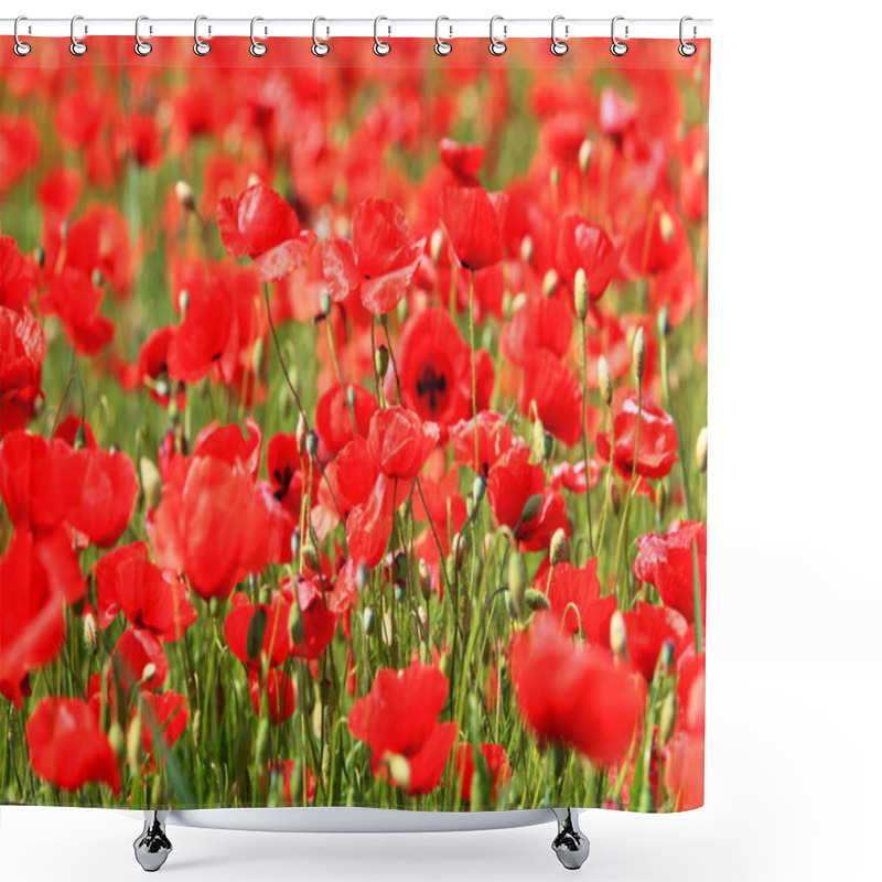 Personality  Blooming Poppyfield In The Summer Shower Curtains