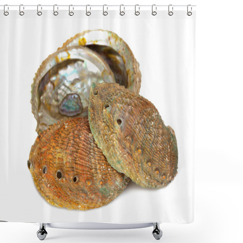 Personality  Four Abalone Shells Shower Curtains