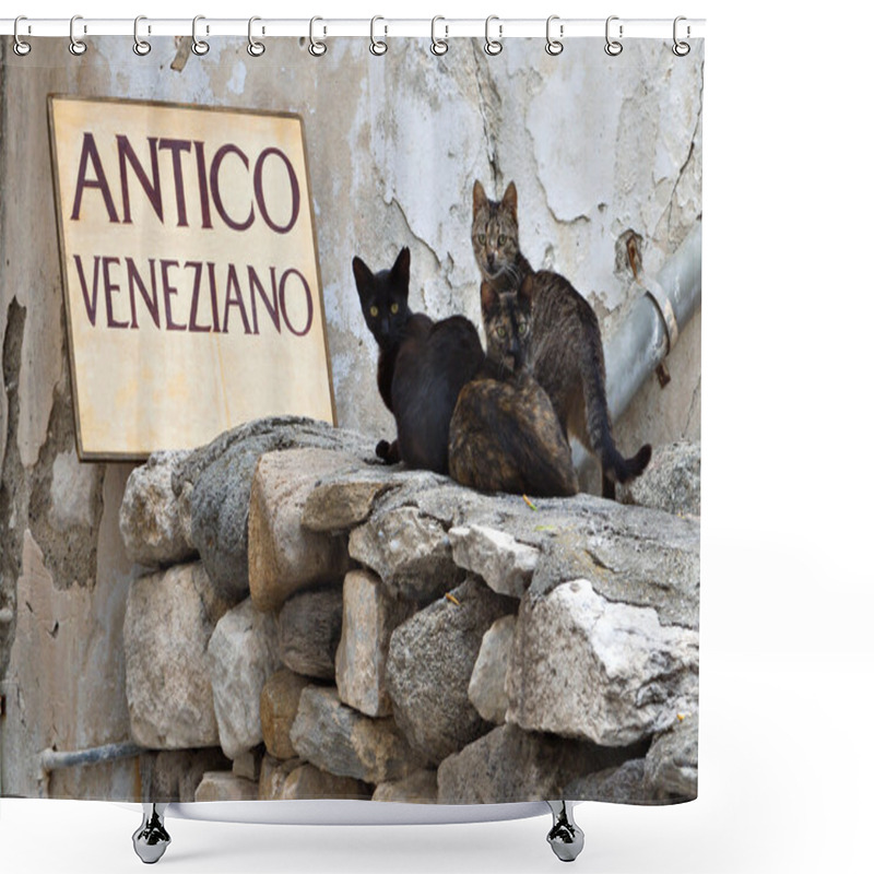 Personality  Cats At Naxos Island In Greece Shower Curtains