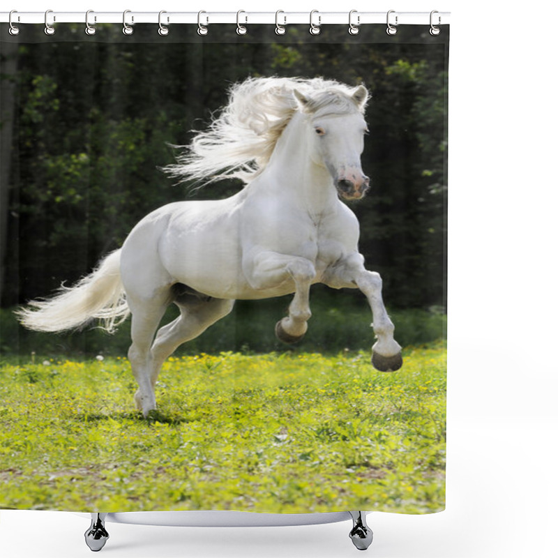 Personality  White Horse Running Gallop Shower Curtains