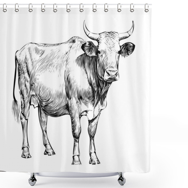 Personality  Cow Standing Side View Engraved Hand Drawn Sketch.Cattle Breeding.Vector Illustration. Shower Curtains