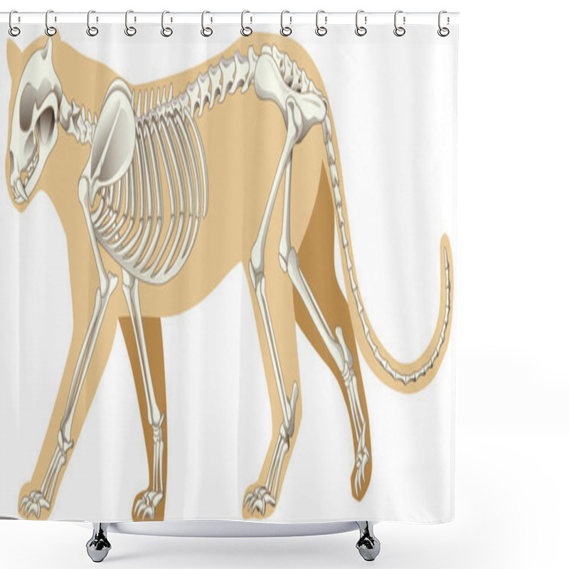 Personality  Outline Drawing Of Leopard With Skeletons Illustration Shower Curtains