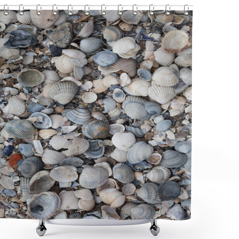 Personality  Beach With Mussels Shower Curtains