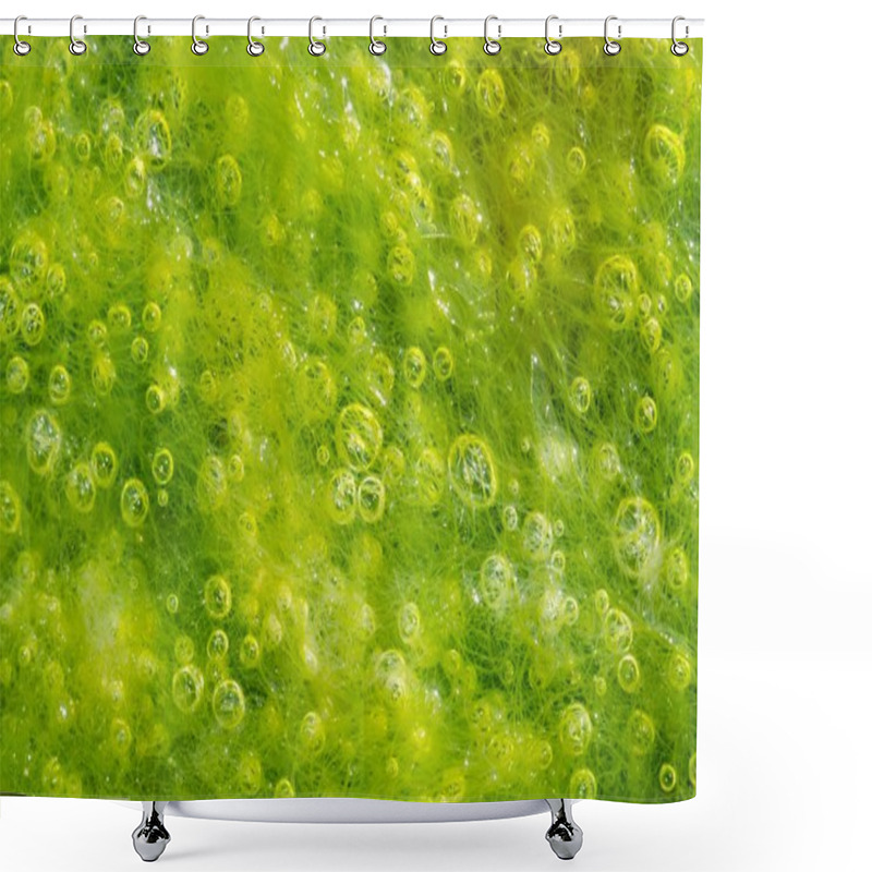 Personality  Seagrass Macro Shower Curtains