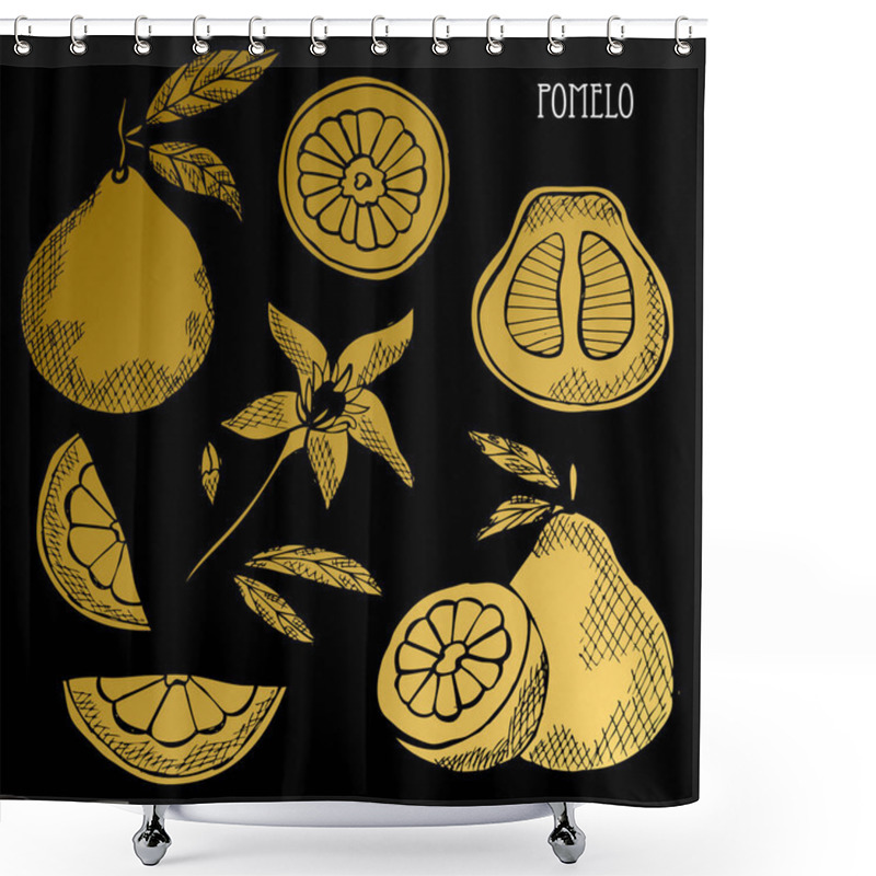 Personality  Hand Drawn Golden Pomelos, Whole And Sliced, Design Elements. Can Be Used For Cards, Invitations, Scrapbooking, Print, Fabric, Manufacturing, Food Themes. Golden Fruits Shower Curtains