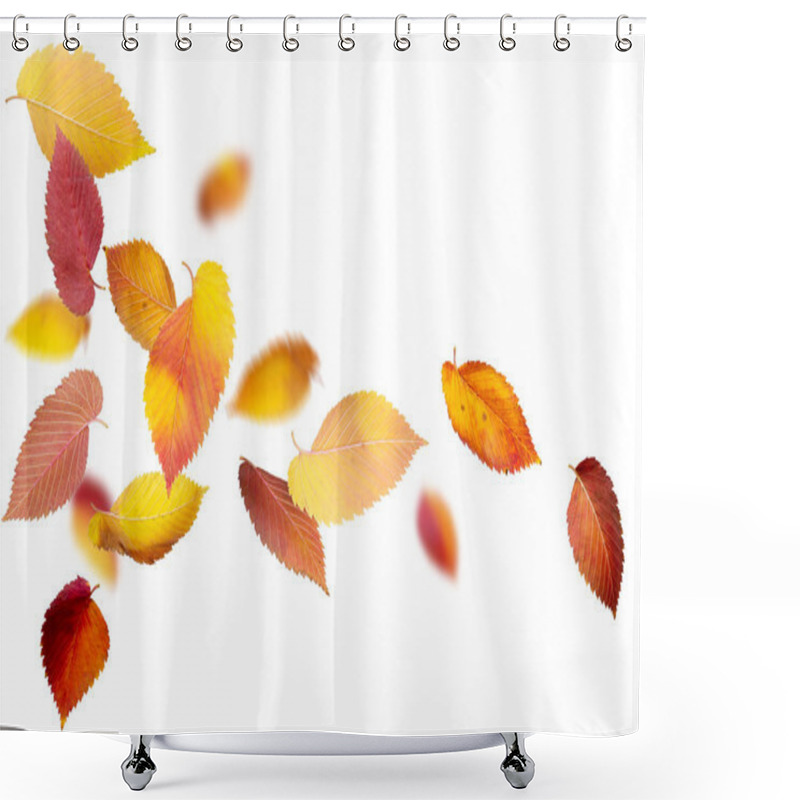 Personality  Isolated Autumn Leaves Shower Curtains