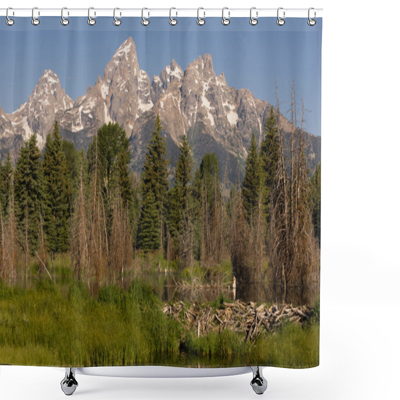 Personality  Beaver Dam Forest Lake Teton National Park Wyoming Shower Curtains