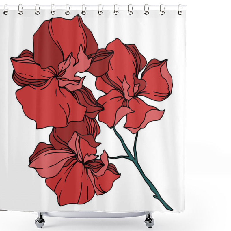 Personality  Vector Orchid Floral Botanical Flowers. Black And White Engraved Ink Art. Isolated Orchids Illustration Element. Shower Curtains