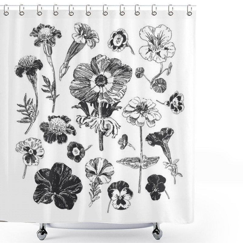 Personality  Botanical Graphics, Collection Of Hand Drawn Flowers Such As Marigold, Petunia, Pansies And Anemone Shower Curtains