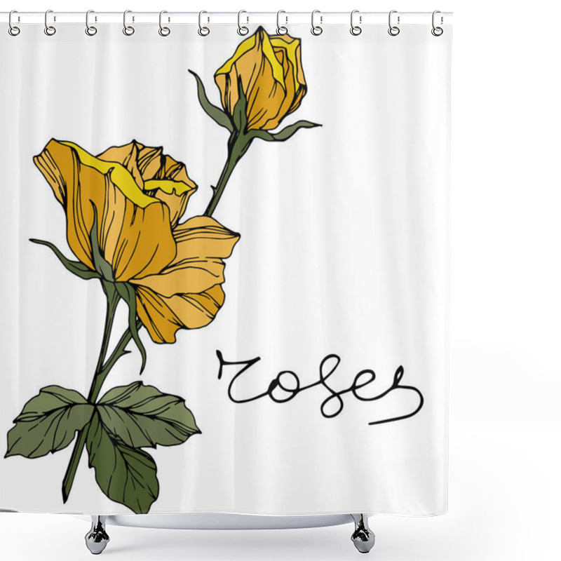 Personality  Vector Rose. Floral Botanical Flower. Engraved Ink Art. Isolated Rose Illustration Element. Beautiful Spring Wildflower Isolated On White. Shower Curtains