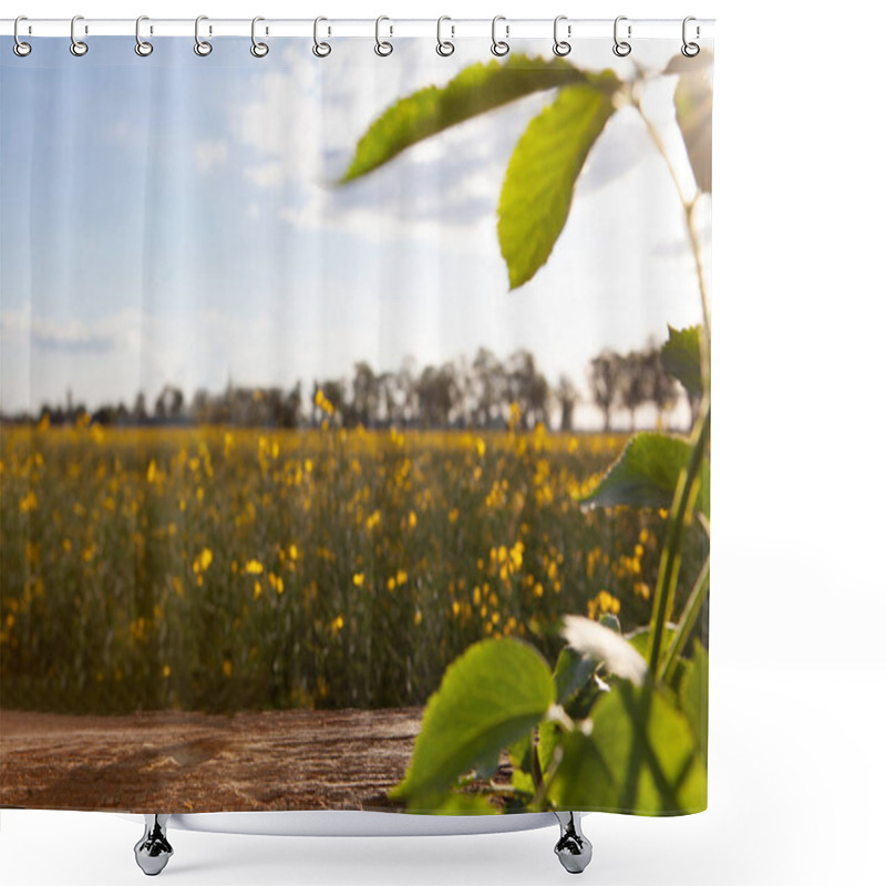 Personality  Rapeseed Field With Green Leaves In Foreground Shower Curtains