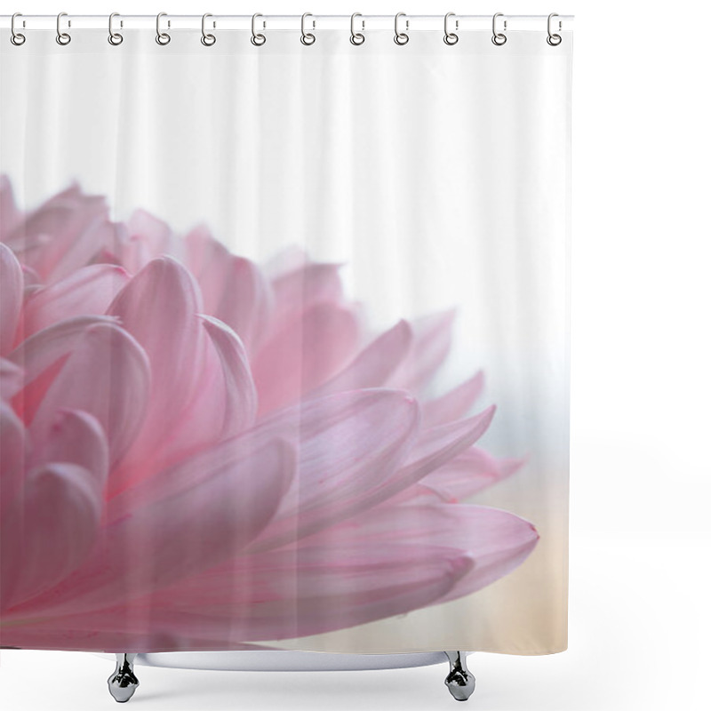 Personality  Close Up Image Of The Beautiful Pink Chrysanthemum Flower Shower Curtains