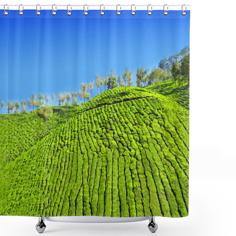 Personality  Tea Plantation Shower Curtains