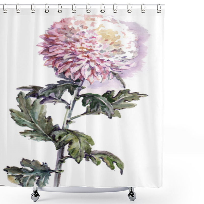 Personality  Illustration Of Chrysanthemum Flower Shower Curtains