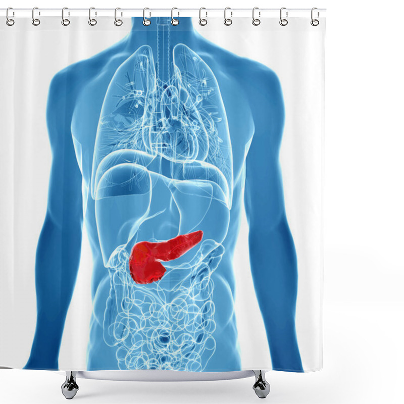 Personality  3d Rendered Illustration Of The Male Pancreas Shower Curtains