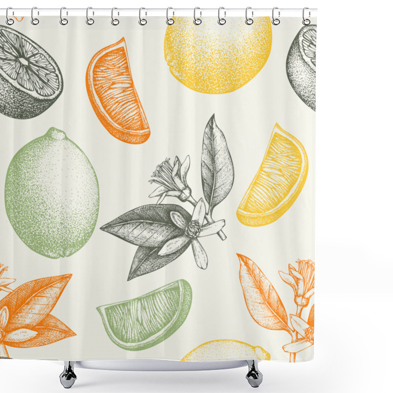 Personality  Hand Drawn Limes Shower Curtains