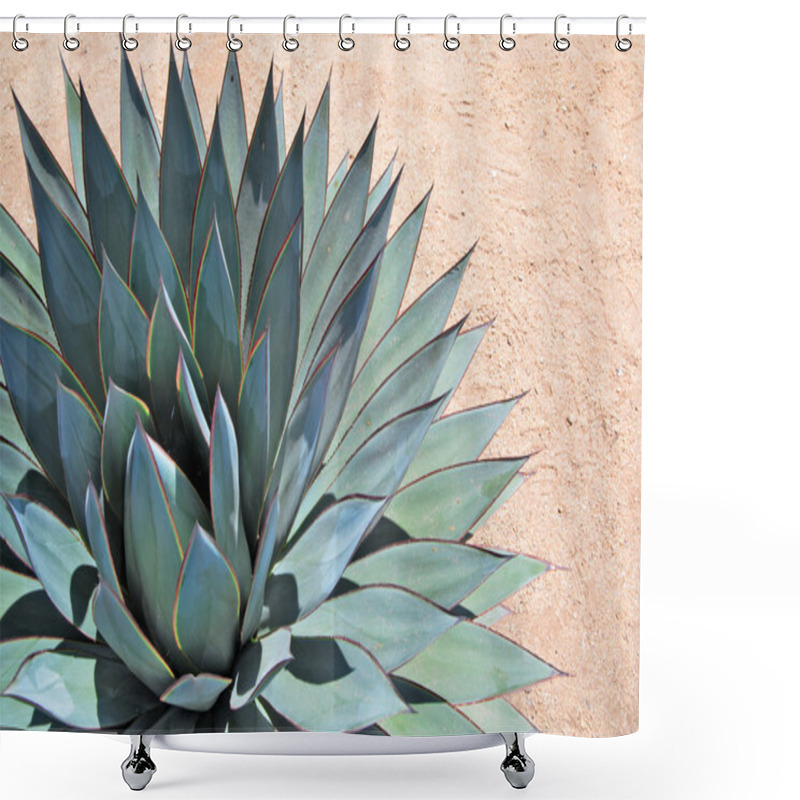 Personality  Agave Portrait Shower Curtains