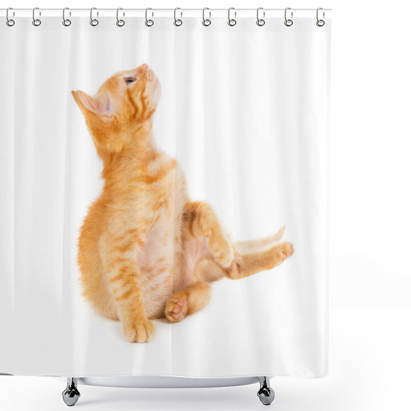 Personality  Red Cat Looks Into The Top Shower Curtains