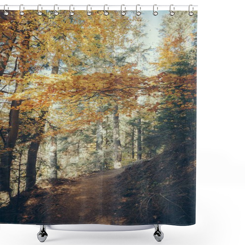 Personality  Footpath In Scenic Mountain Forest In Carpathians, Ukraine Shower Curtains