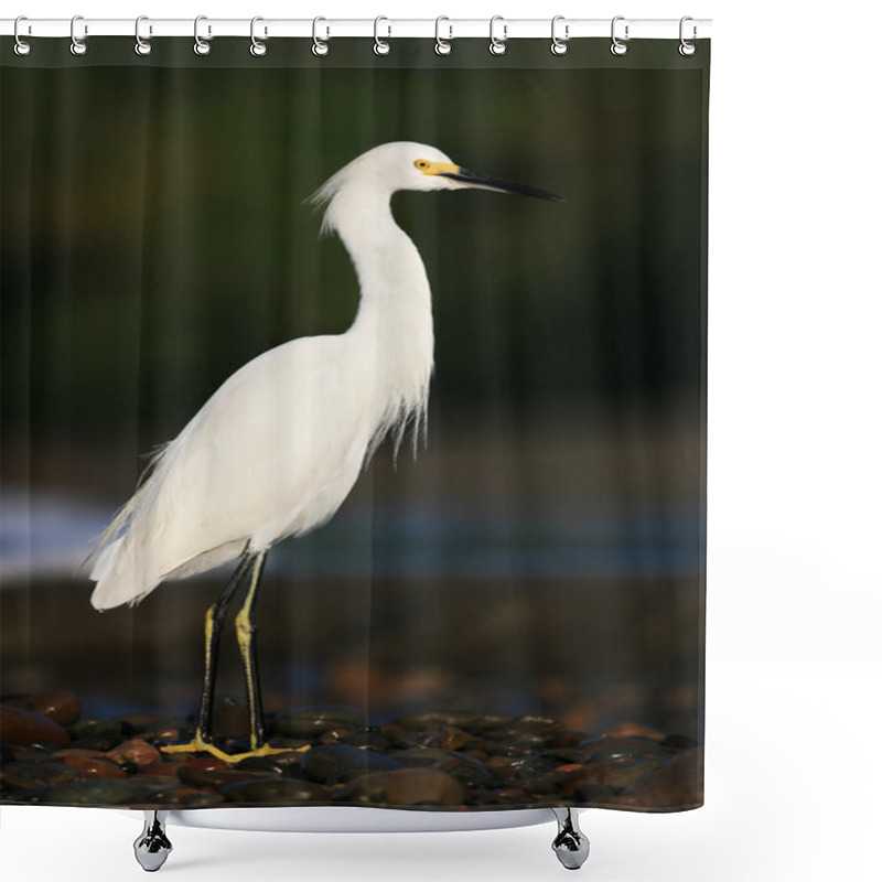 Personality  White Heron Snowy Egret Shower Curtains