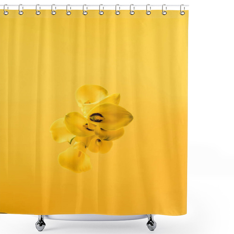 Personality  Top View Of Beautiful Yellow Calla Lily Flowers Isolated On Yellow Shower Curtains