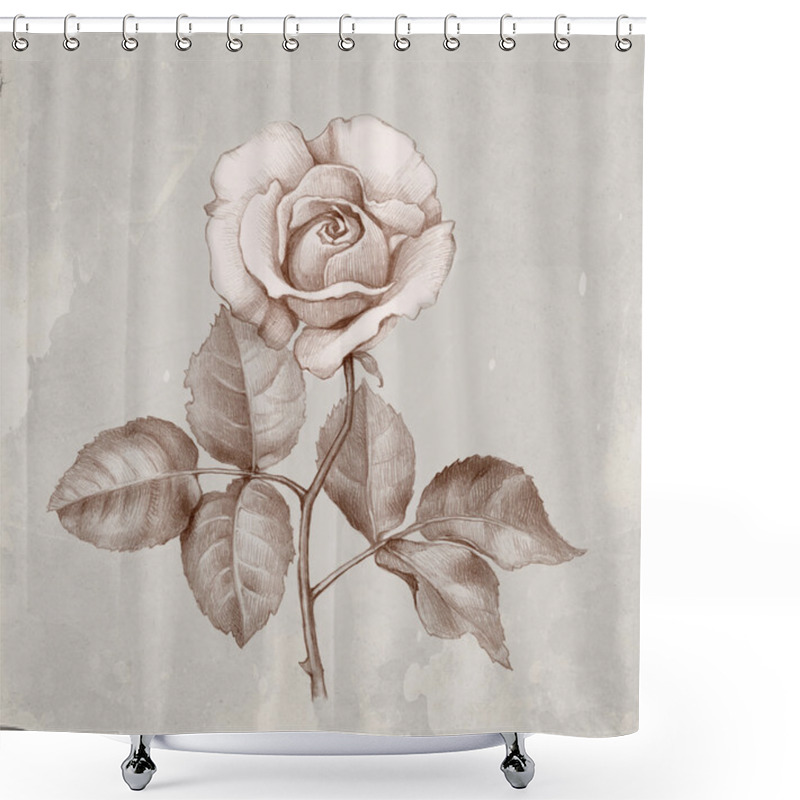 Personality  Pencil Drawing Of Roses Shower Curtains