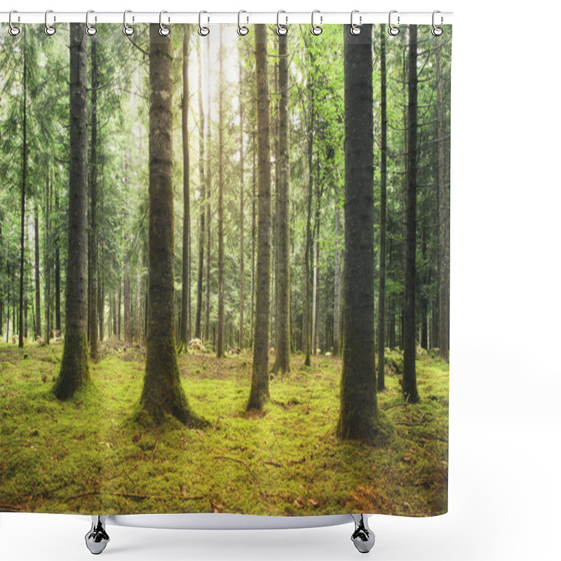 Personality  Beautiful Sunny Mossy Forest Landscape Shower Curtains