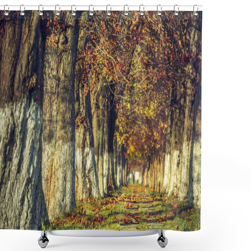 Personality  Serene Autumn Landscape Shower Curtains