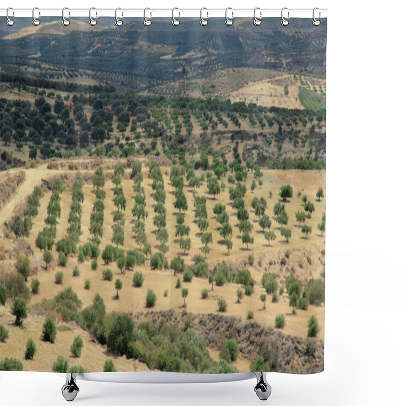 Personality  Crete, Greece, Olive Trees, Plantation Shower Curtains