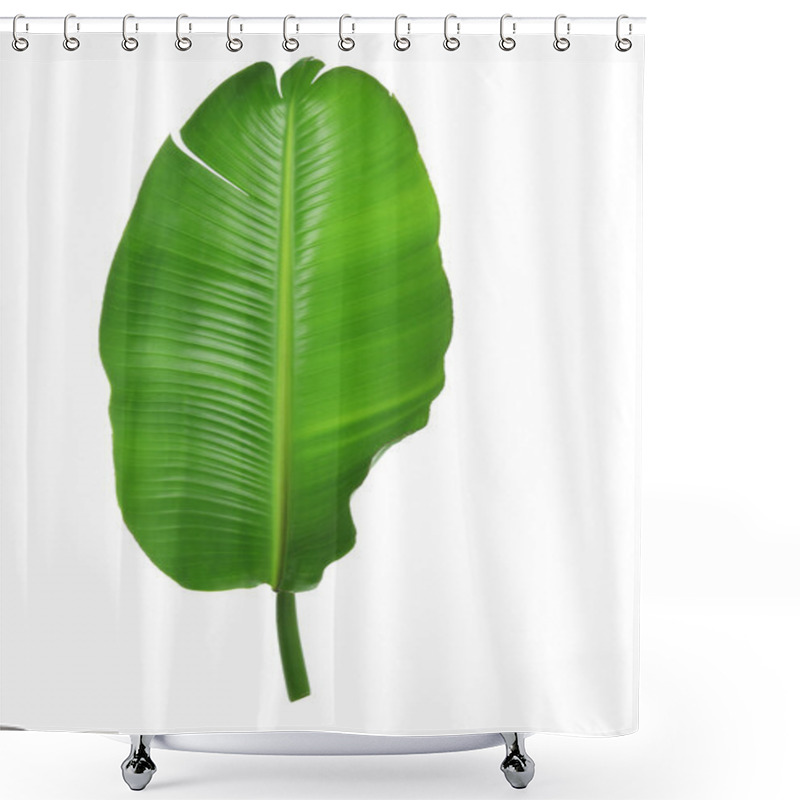 Personality  Palm Leaf Shower Curtains