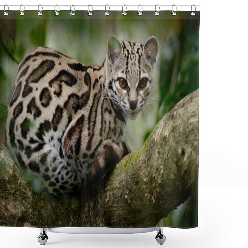 Personality  Wild Cat From Costa Rica Shower Curtains