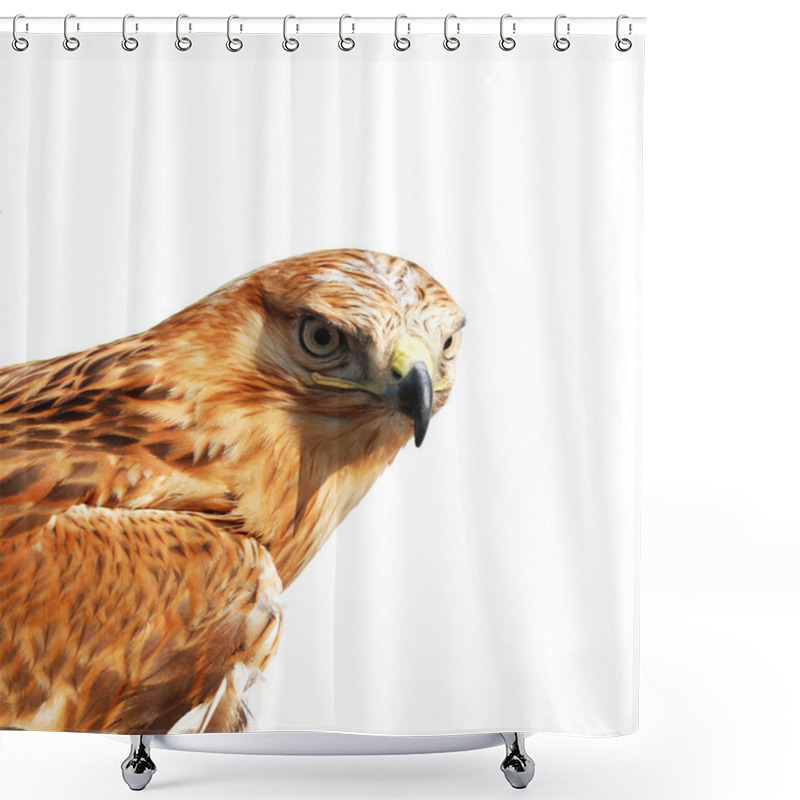 Personality  Eagle Isolated Shower Curtains