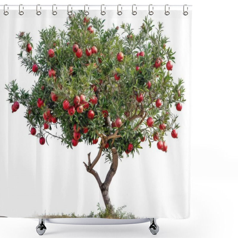 Personality  A Vivid Pomegranate Tree Brimming With Ripe, Red Fruits Against A Minimalist Background. Shower Curtains