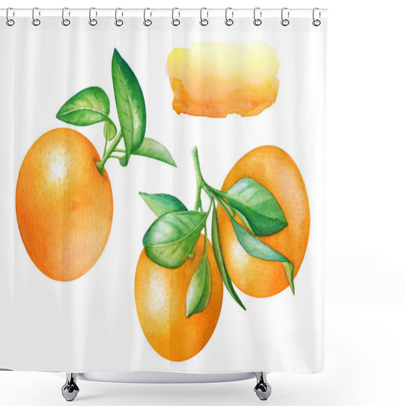 Personality  Watercolor Collection Of Hand Drawn Orange Fruits With Green Leaves And Abstract Background For Text On White Background. Shower Curtains