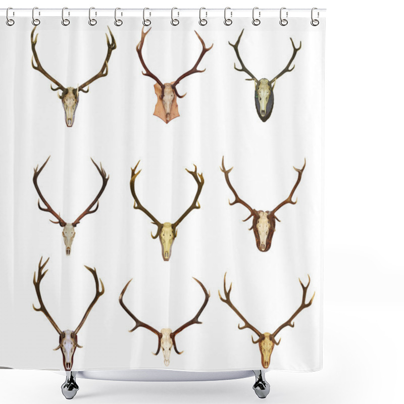 Personality  Collection Of Red Deer Trophies Shower Curtains