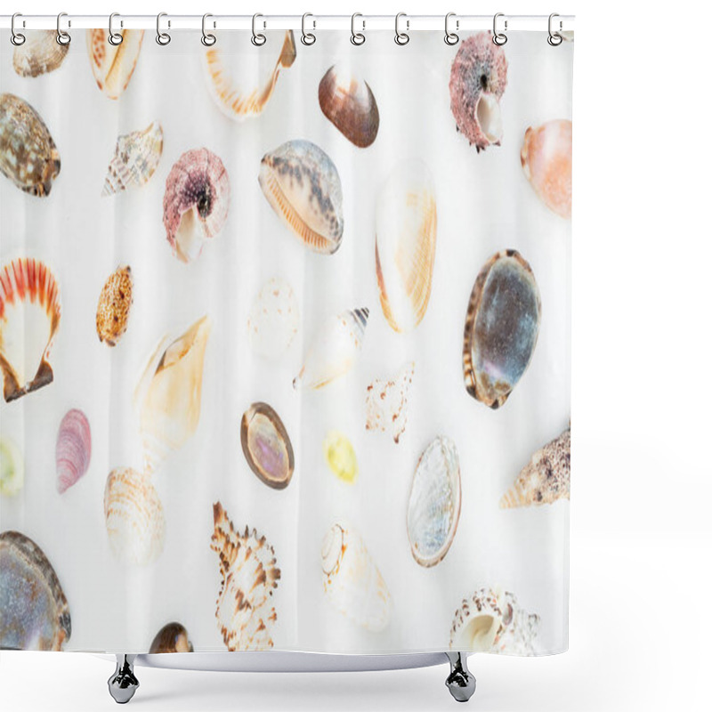 Personality  Various Sea Shells On White Shower Curtains