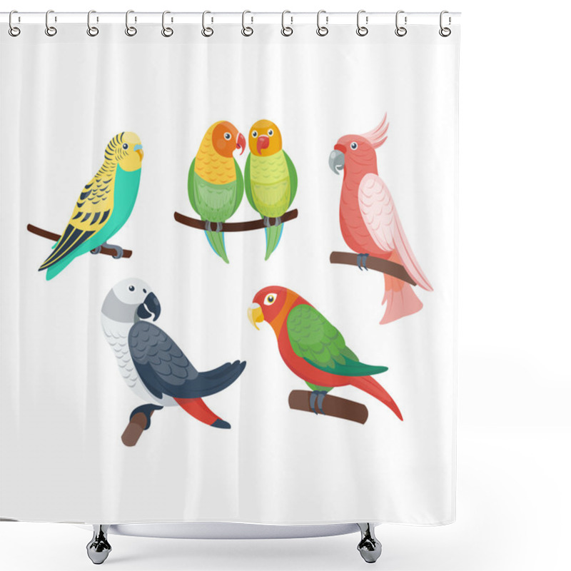 Personality  Cartoon Parrots Set Vector Shower Curtains