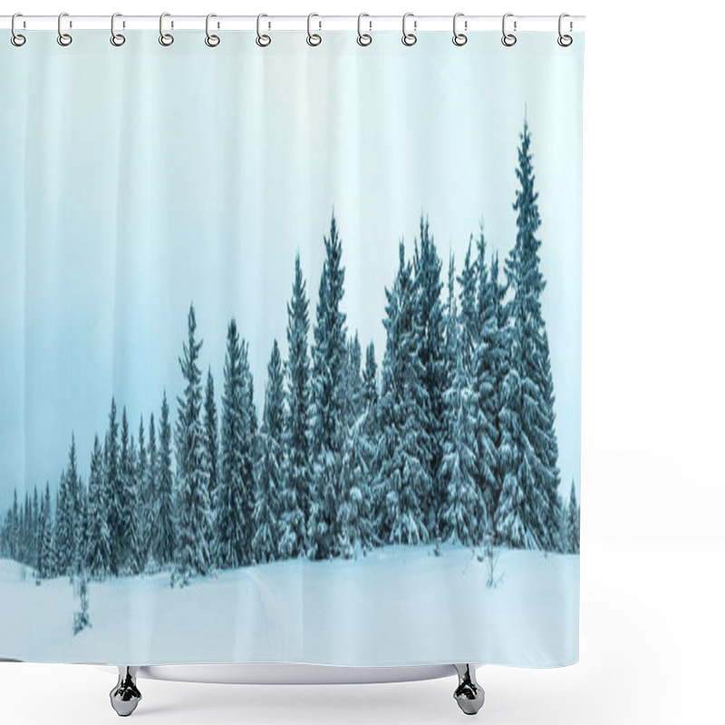 Personality  Winter Weather With Snowdrifts And Fog In The Mountain Spruce Forest. Trees Curved Under The Weight Of Snow Shower Curtains