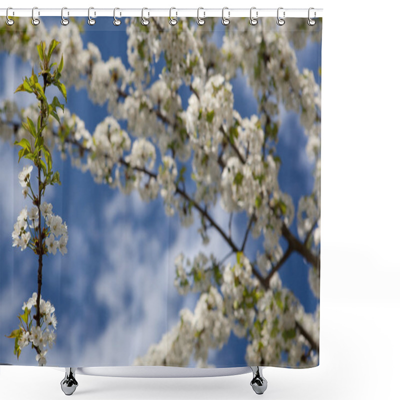 Personality  Spring - Blossoming Tree Against Lovely Blue Sky Shower Curtains