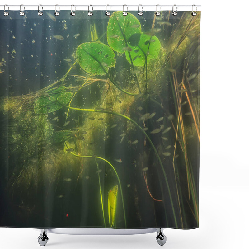 Personality  Underwater Landscape Transparent Lake / Fresh Water Ecosystem Unusual Landscape Under Water Shower Curtains