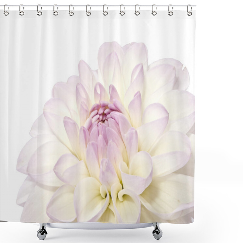 Personality  White Dahlia Shower Curtains