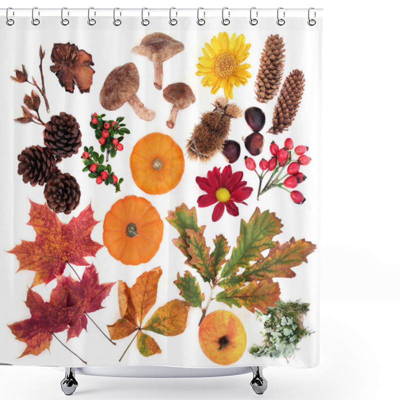 Personality  Nature Study Of  Autumn Food & Flora Shower Curtains