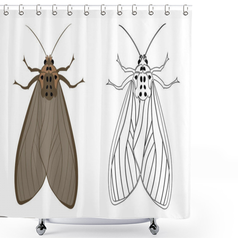 Personality  Realistic Illustration Of Moth Or Butterflies. Isolated On White Background. Insects Bugs Worms Pest And Flies. Shower Curtains