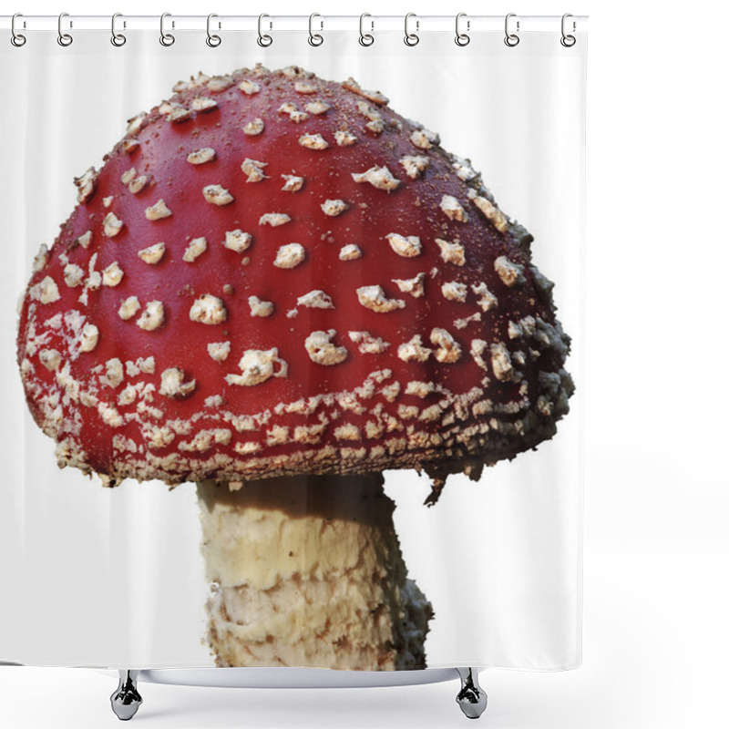 Personality  Toadstool Shower Curtains