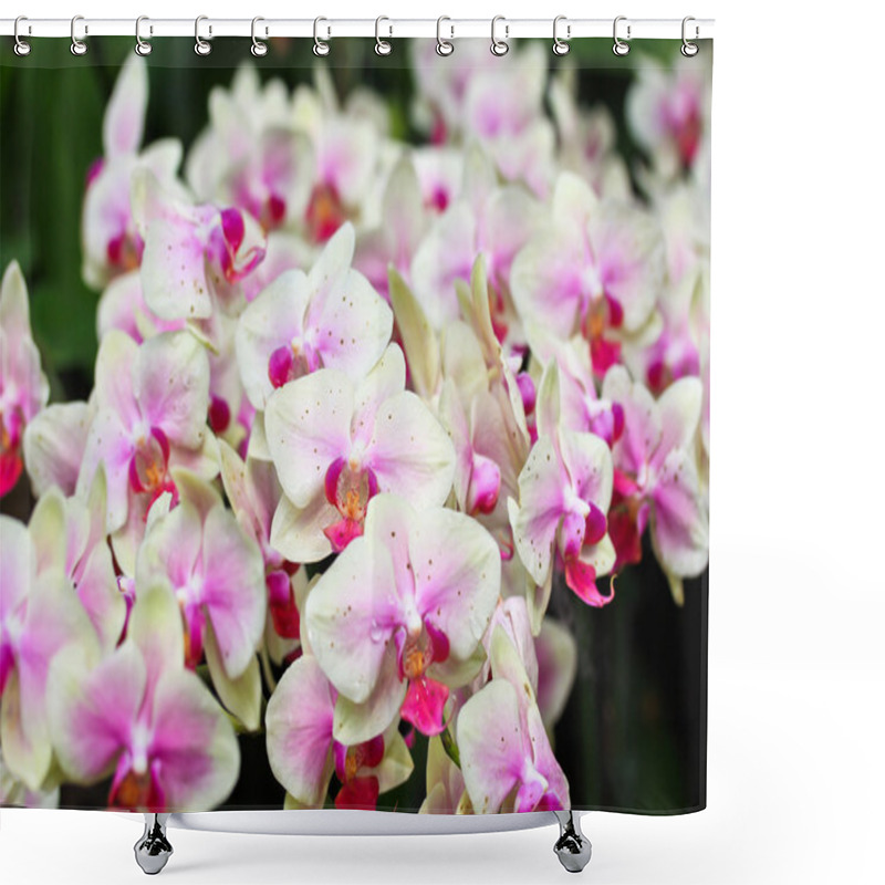 Personality  Beautiful Orchid Flowers Shower Curtains